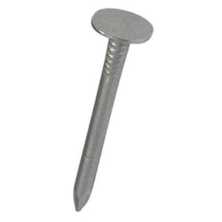100 x 2.65mm Galv'd Clout Nails 2.5Kg